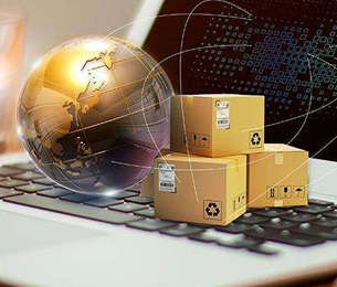 Professional Service